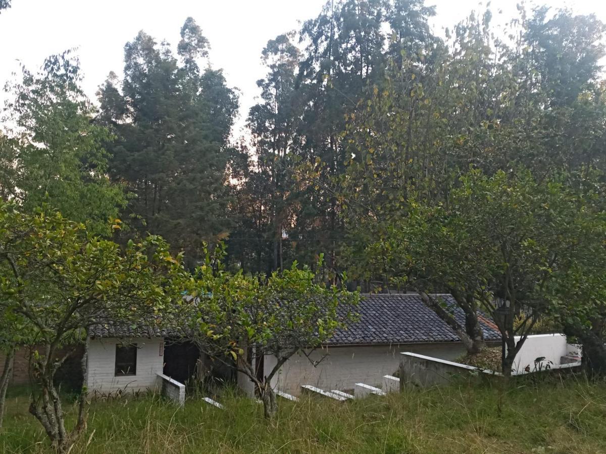 Quinta Los Eucaliptos Hotel Quito Exterior photo